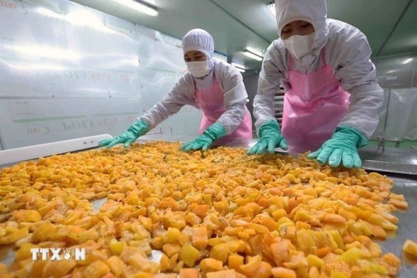 Việt Nam dự báo thặng dư thư